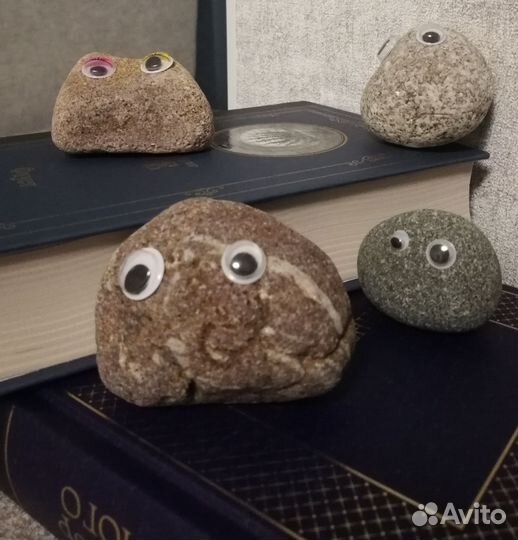 Камень питомец