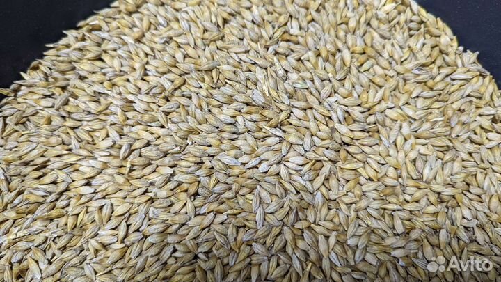 Сортировка зерна, семян, фасовка, перевалка