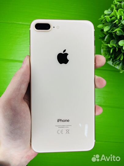 iPhone 8 plus 64gb(акб100);