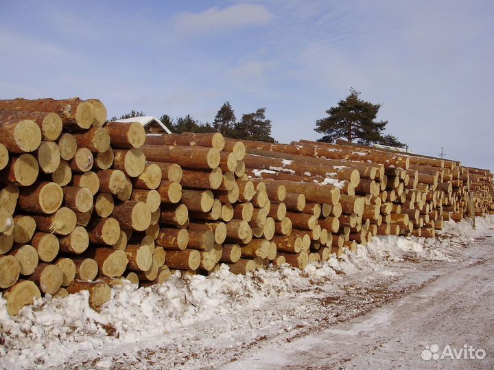 Круглый лес лиственница