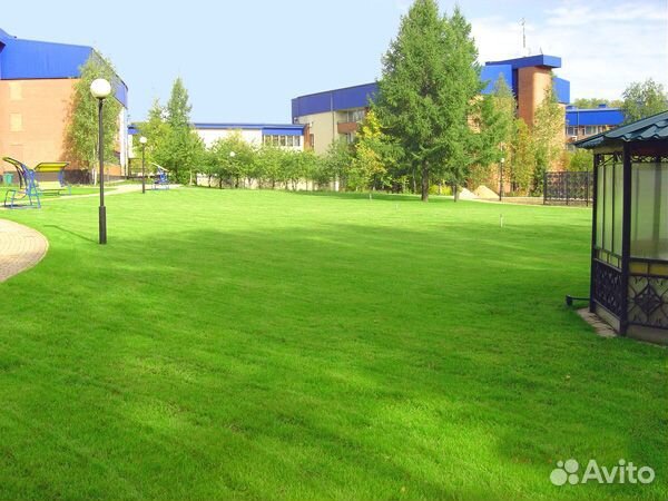 Семена газонных трав. Травосмесь 