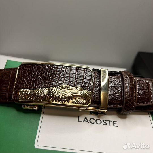 Ремень мужской lacoste