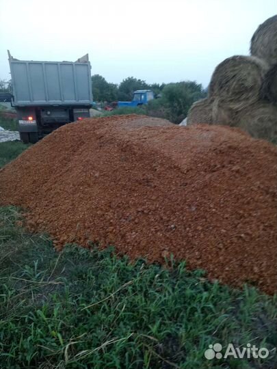 Жом свекловичный