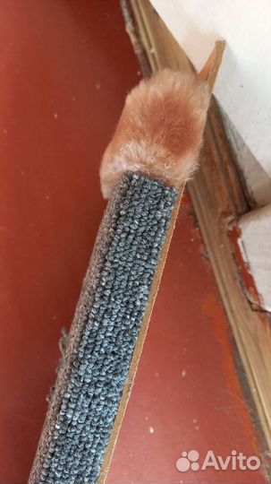 Когтеточка для кошек