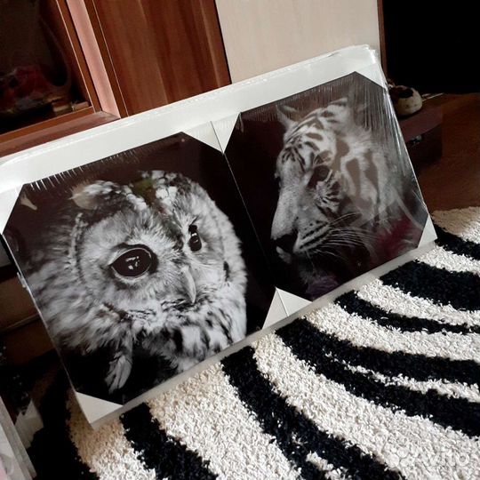 Картины на холсте, постеры