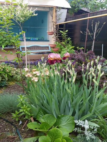 Дом 110 м² на участке 5 сот.