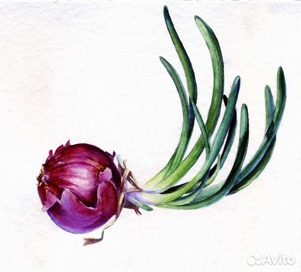 Картина акварель