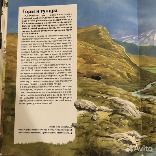 Книга о «Млекопитающих»