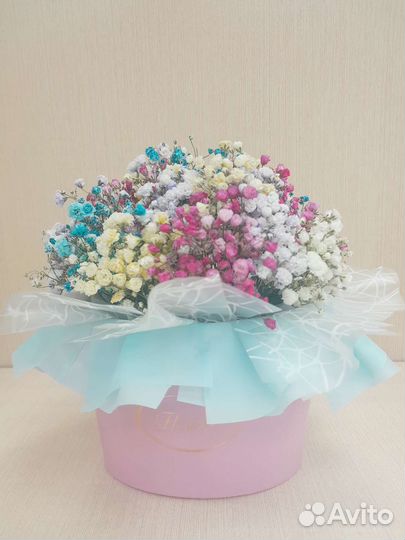 Цветы гипсофила