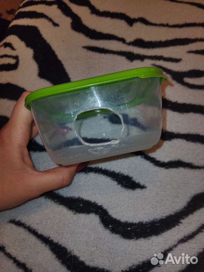 Домик для хомяка