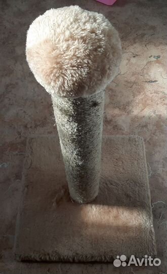 Когтеточка для кошек