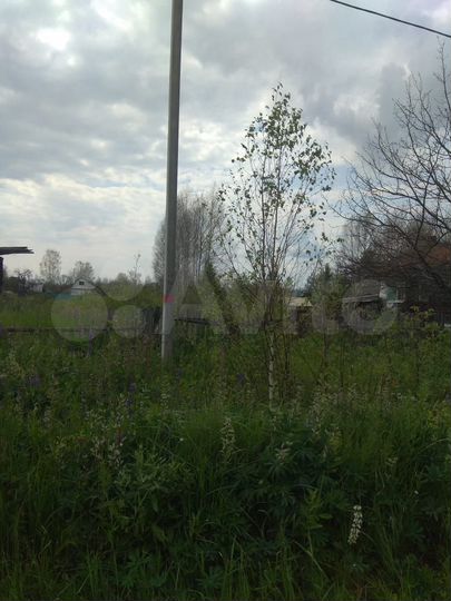 Участок 25 сот. (ИЖС)