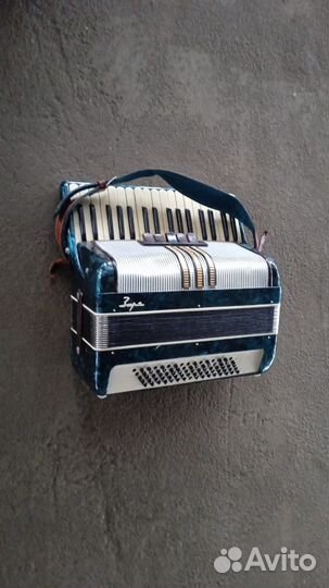 Аккордеон заря