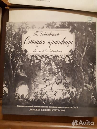 Виниловые пластинки