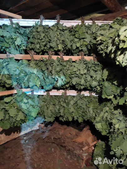 Веники для бани