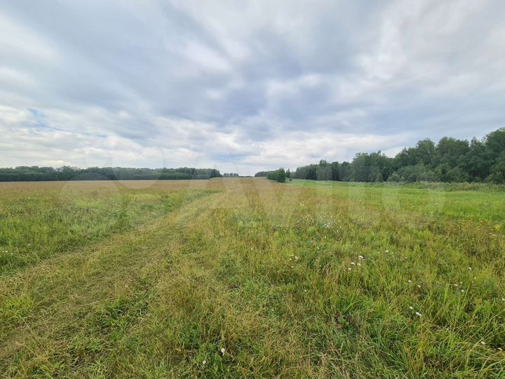 Участок 100 сот. (СНТ, ДНП)