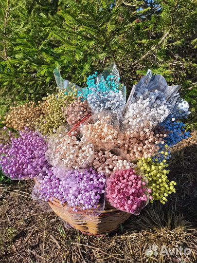 Цветы, букеты, сухоцветы