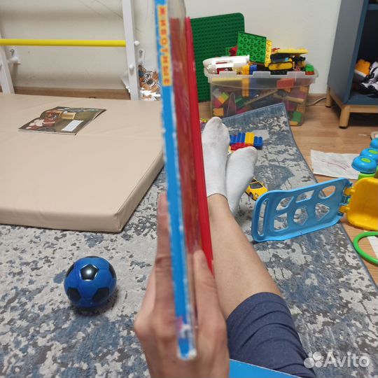 Книжки детские домашние и дикие животные