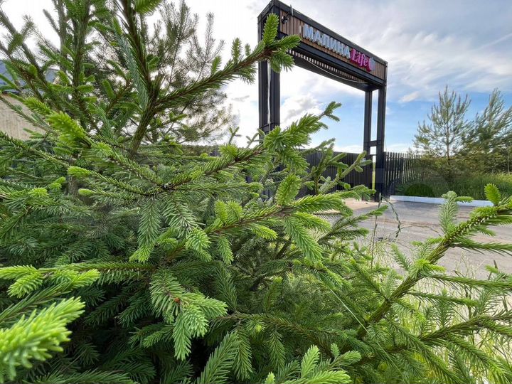 Участок 8,3 сот. (ИЖС)