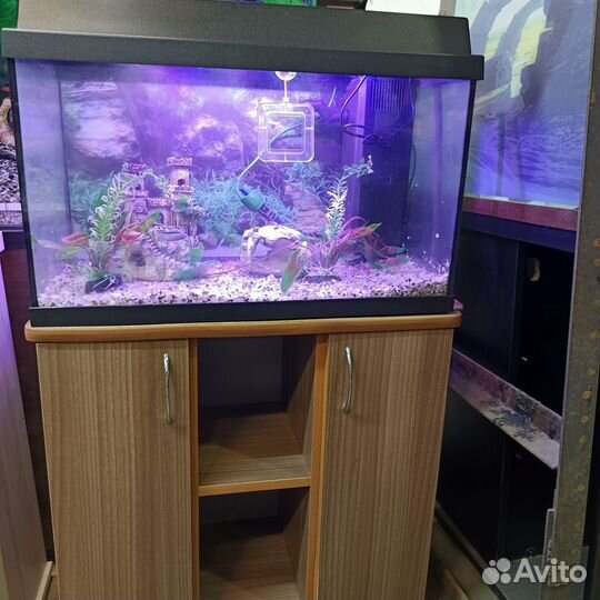 Аквариум 70 литров со светильником и тумбой