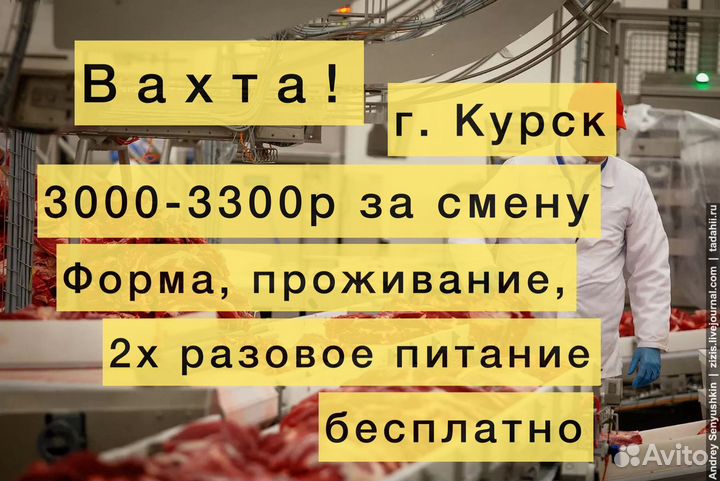 Вахта в г.Курск с проживанием и питанием