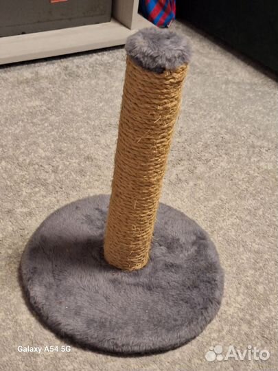 Когтеточка