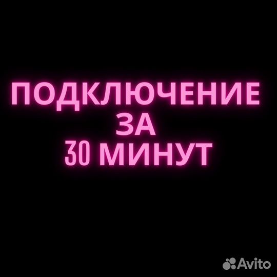 Worms W.M.D Подписка Подписка esential