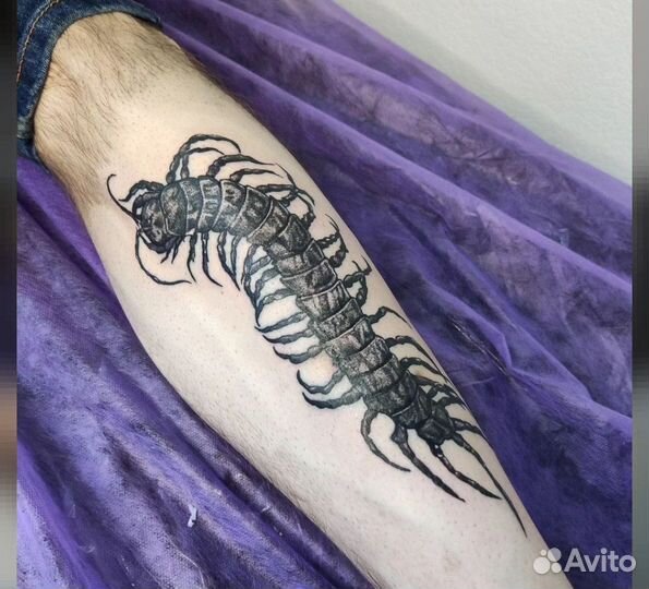 Тату мастер