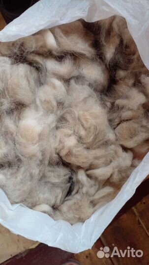 Собачий пух600гр