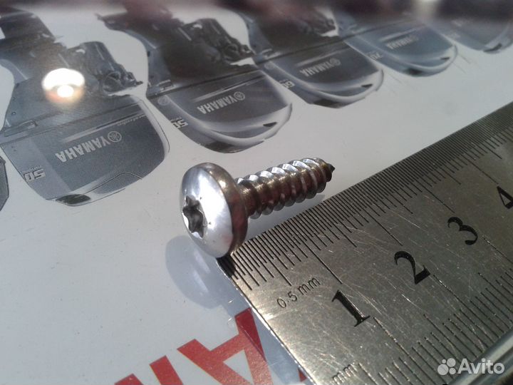 Саморез полукр/гл torx/шл/ Din 7981 A2 C 5,5х19 #