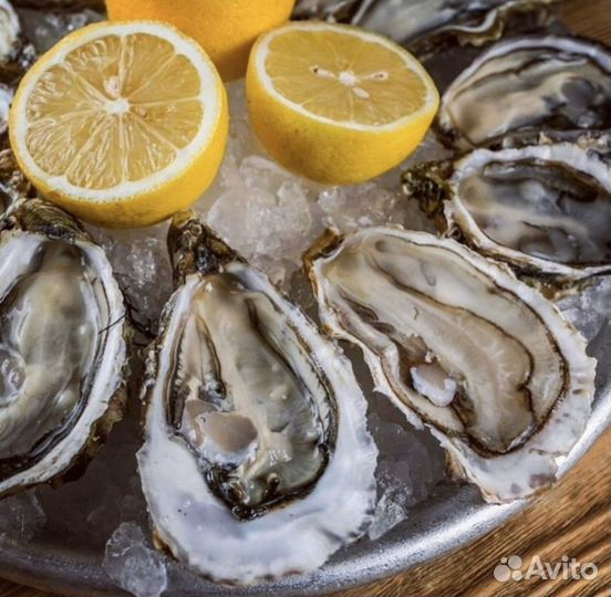 Раки Крабы Устрицы опт и розница