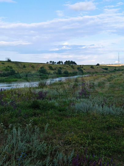 Участок 22 сот. (ИЖС)