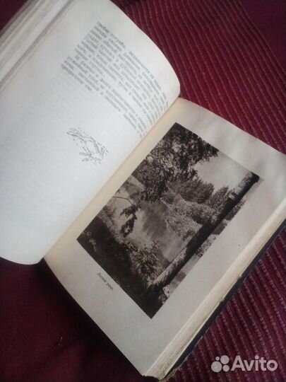 Редкая книга СССР 