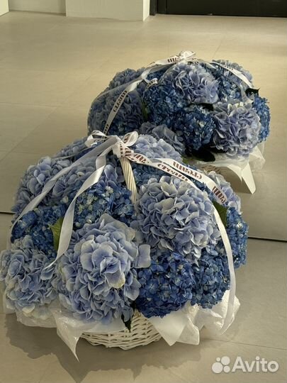 Букет из гортензий