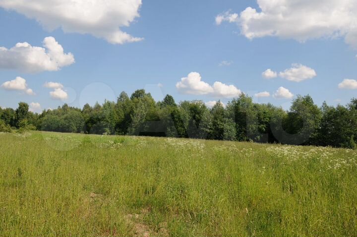 Участок 4,9 га (СНТ, ДНП)