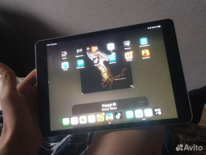 iPad 10.2 (2020) (64gb)