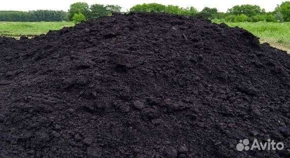 Чернозем Плодородный грунт