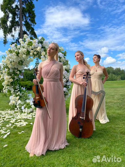 Музыканты на свадьбу