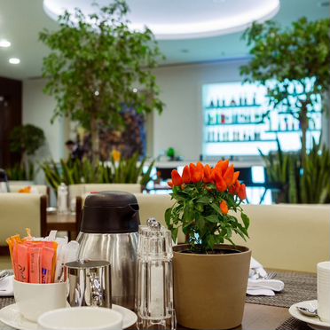 Горящий тур в Сочи отель 5*