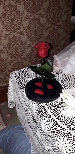 Живая роза В колбе