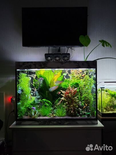 Светильник для аквариума MicMol felix 600