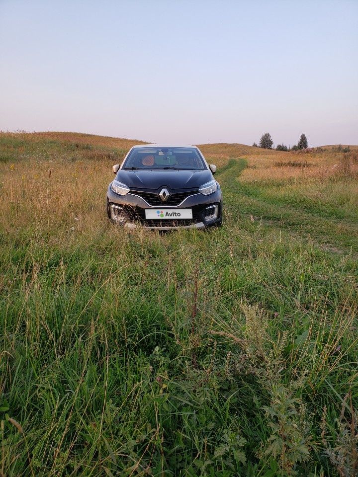 Renault Kaptur: фото владельца