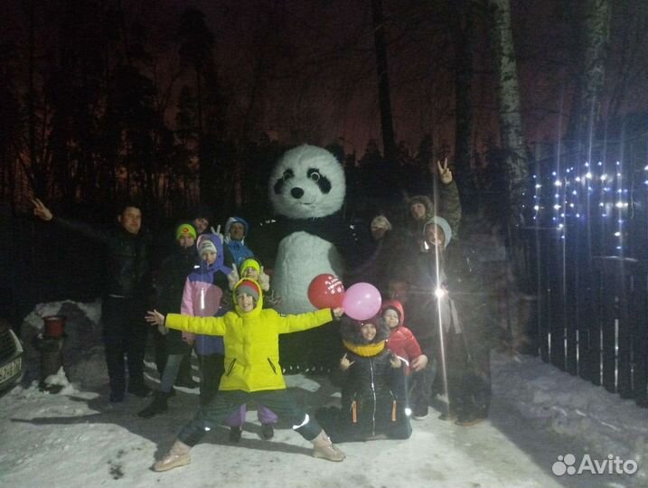 Поздравление от панды