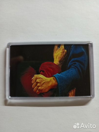 Акриловые магниты Самбо