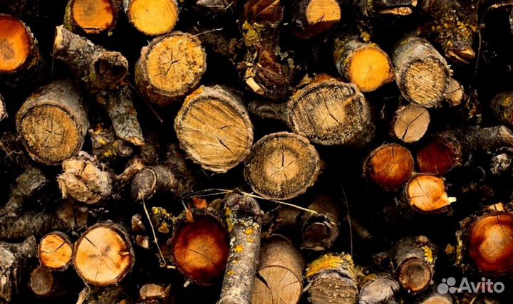 Дрова Осиновые