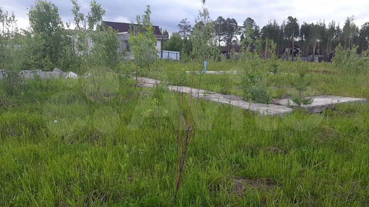 Участок 13,7 сот. (СНТ, ДНП)
