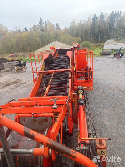 Копатель корнеплодов IMAC OD 1400, 2005