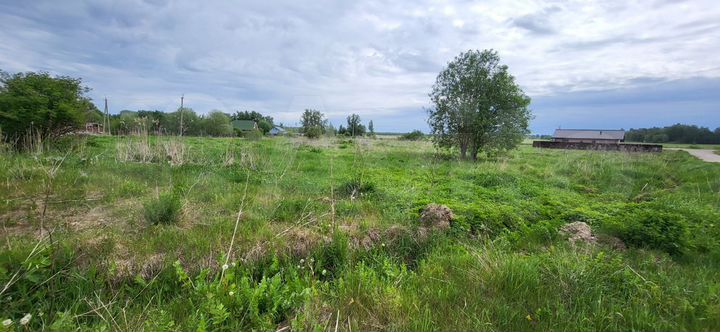 Участок 1,15 га (ИЖС)