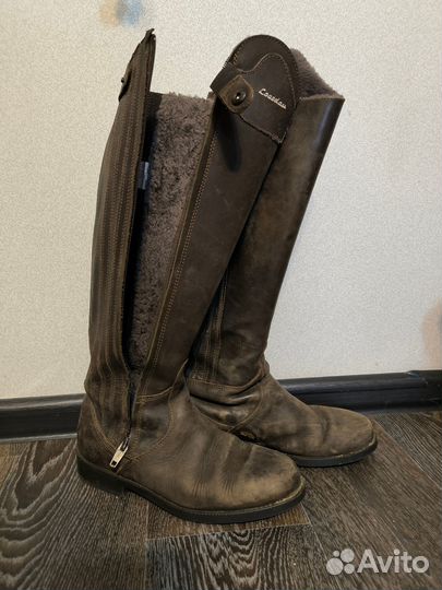 Сапоги конные зимние