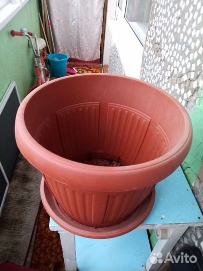 Горшок для цветов большой